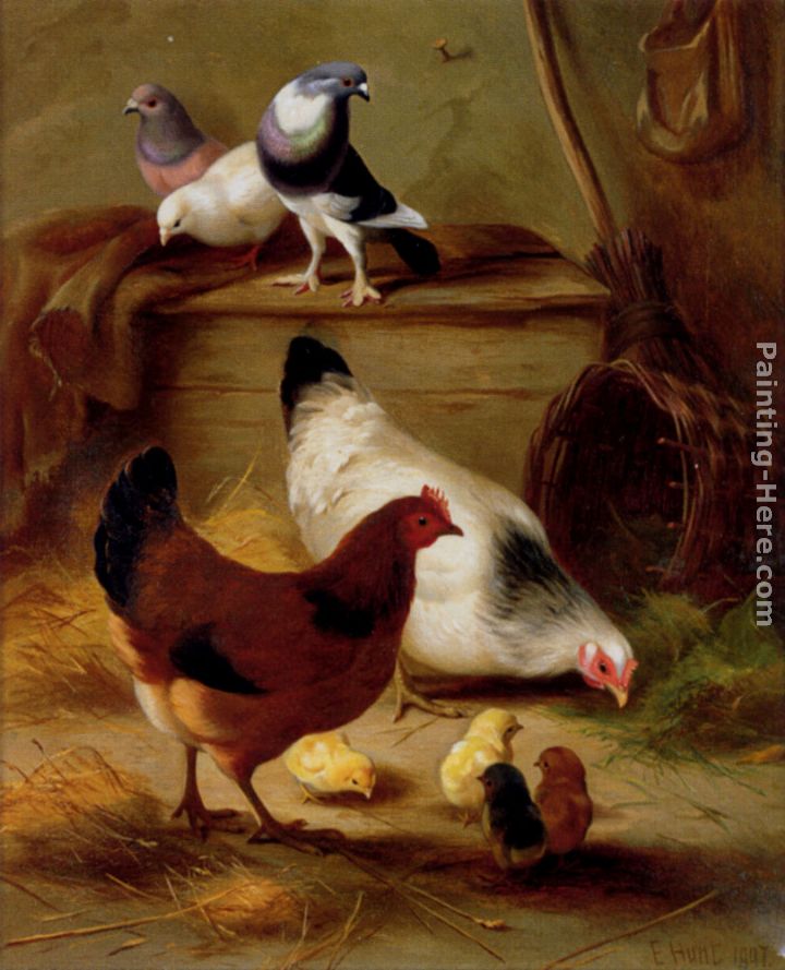 Pigeons And Chickens painting - Edgar Hunt Pigeons And Chickens art painting